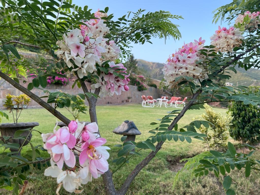 Private Celebrations