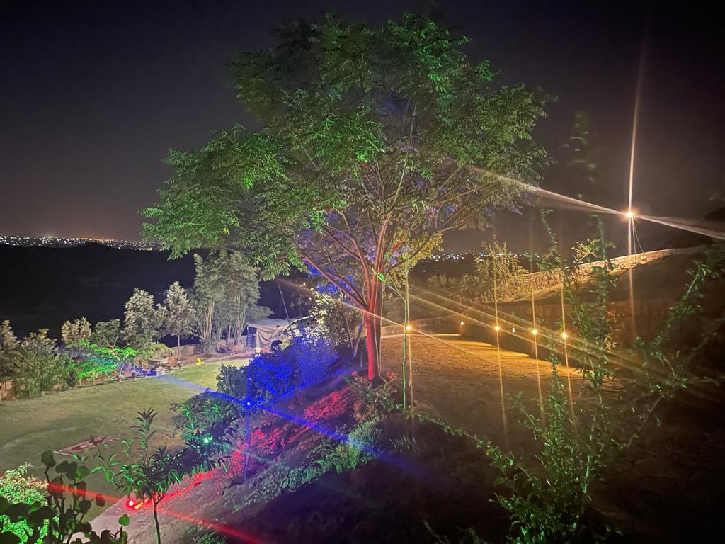 Illuminated natural beauty